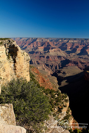 Pipe Creek Vista