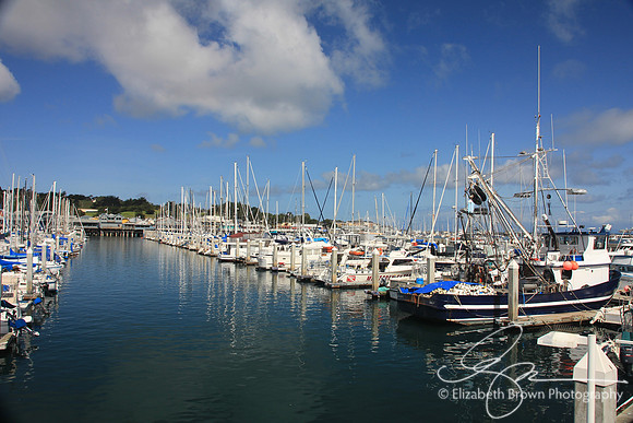 Fisherman's Wharf