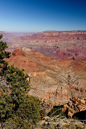 Desert View