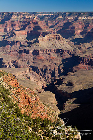 Pipe Creek Vista