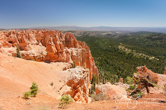Black Birch Canyon