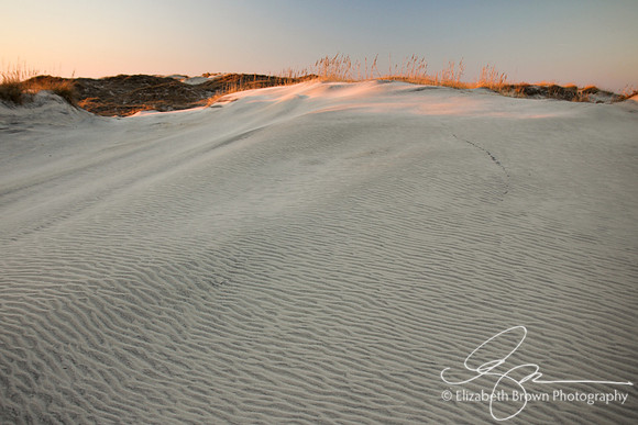 Pea Island National Wildlife Refuge