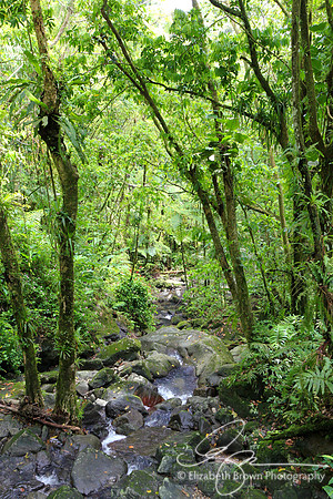 El Yunque