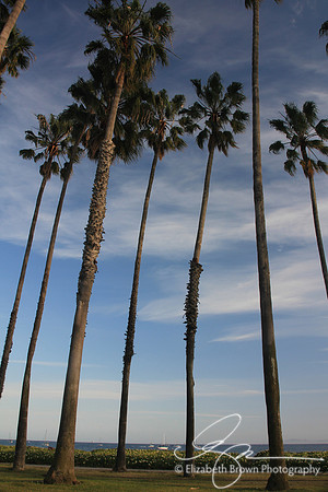 Santa Barbara Beach
