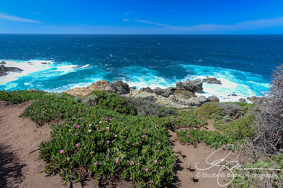Big Sur Coastline