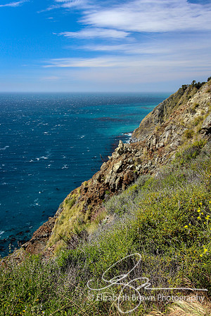 Big Sur Coastline
