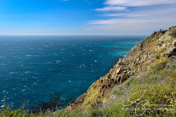 Big Sur Coastline