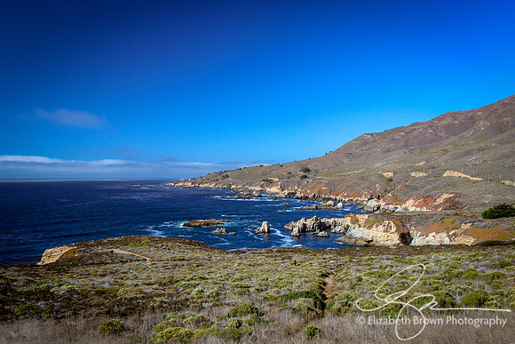 Pacific Ocean View