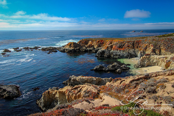 Pacific Ocean View
