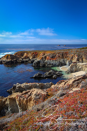 Pacific Ocean View