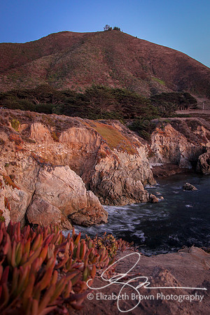 Pacific Ocean View