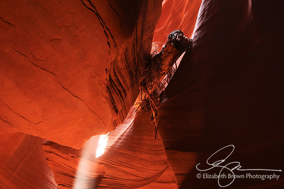 Antelope Canyon