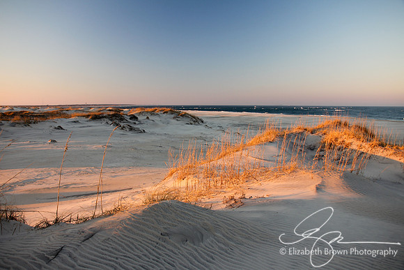 Pea Island National Wildlife Refuge