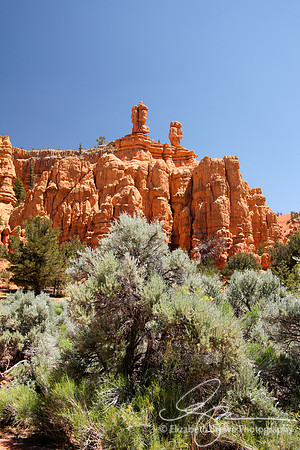 Red Canyon
