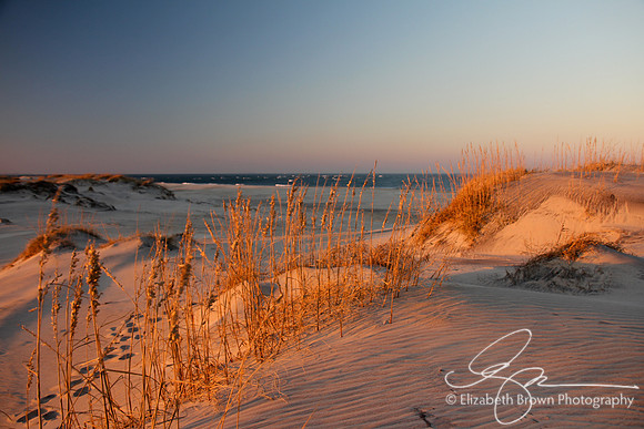 Pea Island National Wildlife Refuge