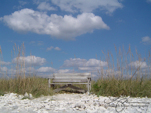 Honeymoon Island State Park