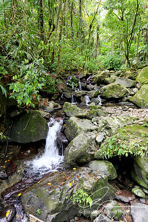 Waterfall