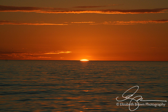 Honeymoon Island Sunset