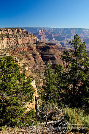 Pipe Creek Vista