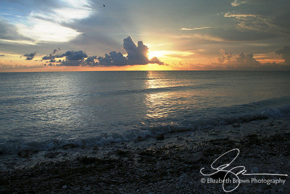 Honeymoon Island Sunset