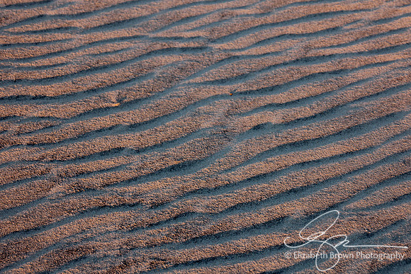 Pea Island National Wildlife Refuge