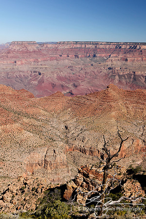 Desert View