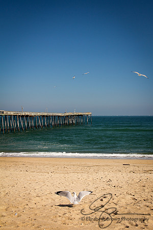 Avalon Pier