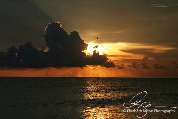 Honeymoon Island Sunset