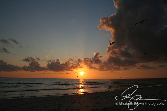 Honeymoon Island Sunset